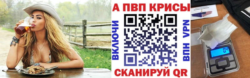Альфа ПВП СК Котельнич
