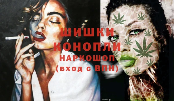 PSILOCYBIN Абдулино