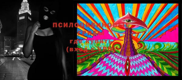 PSILOCYBIN Абдулино