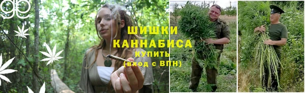 PSILOCYBIN Абдулино