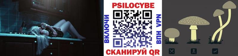 hydra как войти  дарнет шоп  Котельнич  Псилоцибиновые грибы Psilocybe 